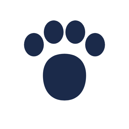 SolidPaw